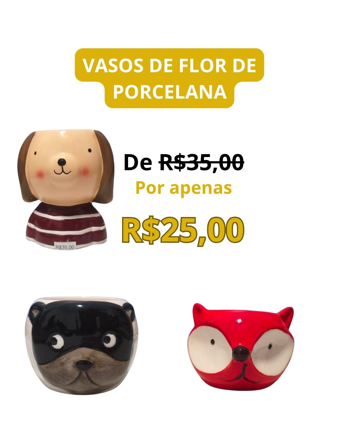 ✨ Última Chance